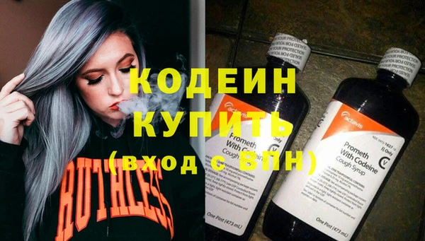 прущие грибы Пересвет