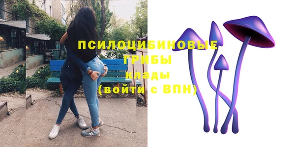 метадон Алексеевка