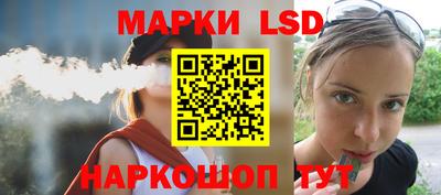 ALPHA PVP Гай