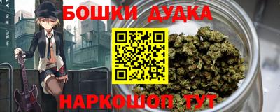 ALPHA PVP Гай