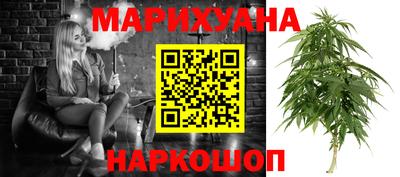 ALPHA PVP Гай