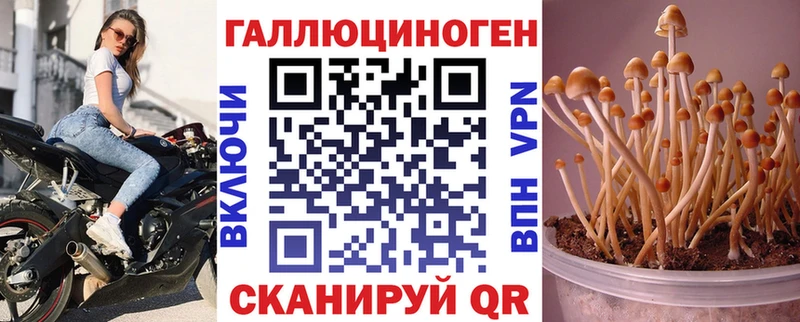Галлюциногенные грибы MAGIC MUSHROOMS  купить  сайты  блэк спрут ссылка  Лесосибирск 