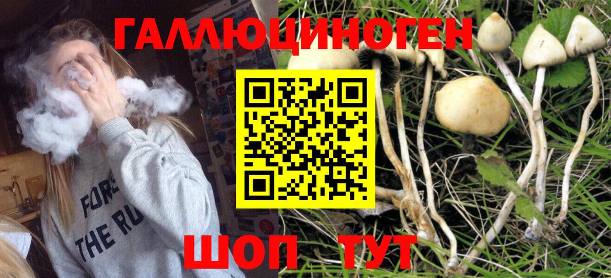 Галлюциногенные грибы Psilocybe  Вход с VPN  Псилоцибиновые грибы GOLDEN TEACHER  Лесосибирск 