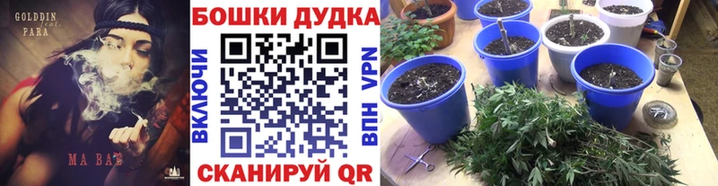 Канабис ГИДРОПОН  наркотики  Лесосибирск 